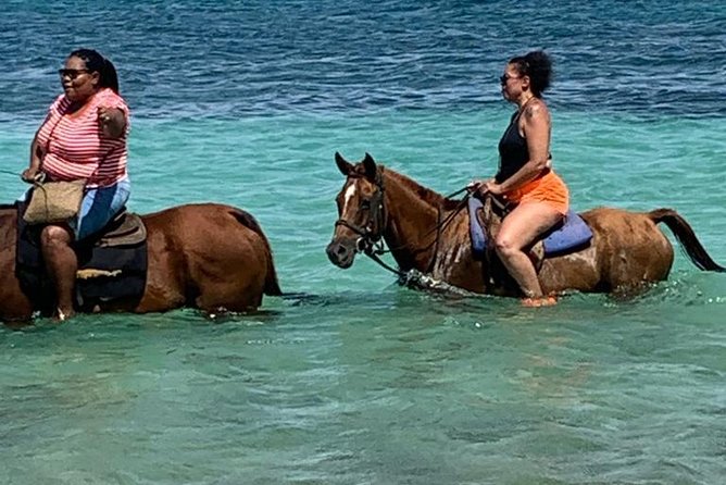 Hour Horseback Riding Guided Tour from Runaway Bay - Key highlights