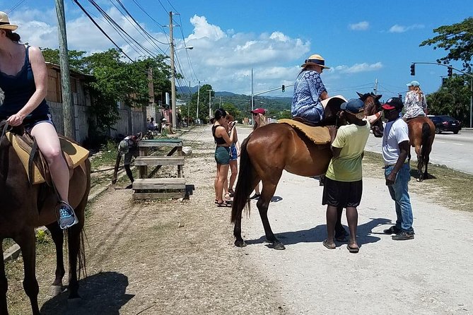 Hour Horseback Riding Guided Tour from Runaway Bay - Price and Value: What $115 Gets You in One Hour
