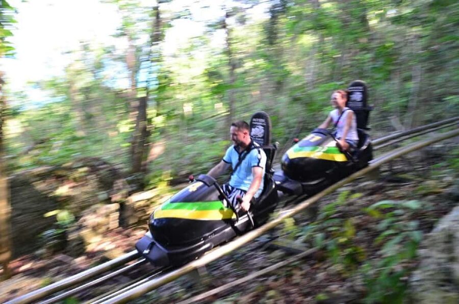 Jamaica Bobsled and Zip Line Adventure Tour - Key Highlights You’ll Feel in Your Body