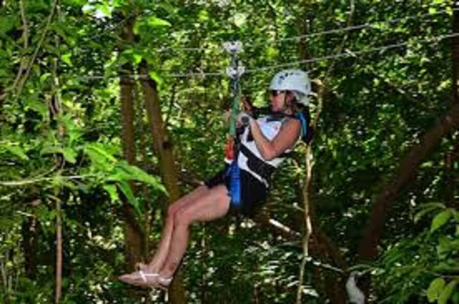 Jamaica Bobsled and Zip Line Adventure Tour - From Your Hotel to the Adventure Park Without the Stress