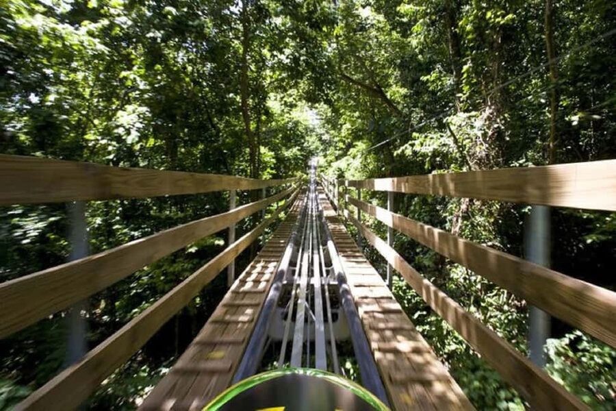 Jamaica Bobsled and Zip Line Adventure Tour - Sky Explorer Chairlift: The Scenic Warm-Up Above Ocho Rios