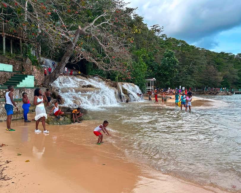 Jamaica Dunn's River Falls guided tour from Ocho Rios hotels - Hidden Caves, Plants, and Wildlife Moments