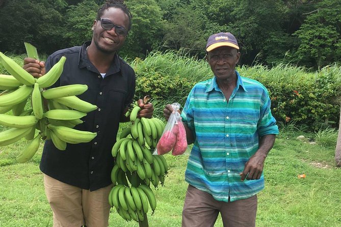 Jamaica Foodie and Cultural Experience & Konoko Falls Ocho Rios - Getting There in Air-Conditioned Comfort