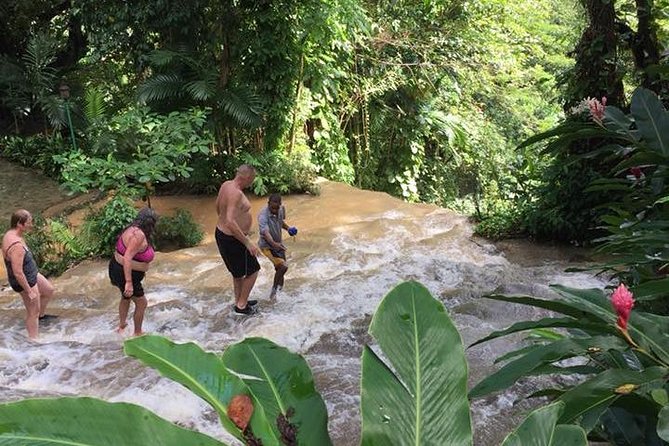 Konoko Falls and Tropical Garden Tour from Ocho Rios - Konoko Falls terraces: the climb, the pools, and the guide rhythm