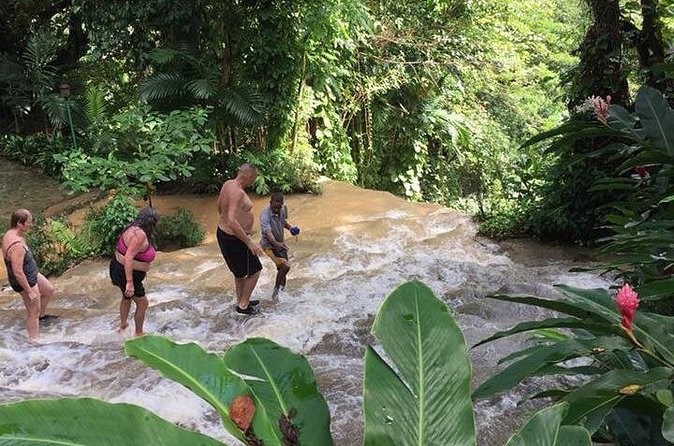Konoko Falls and Tropical Garden Tour from Ocho Rios - Reaching the top: panoramic views over Ocho Rios
