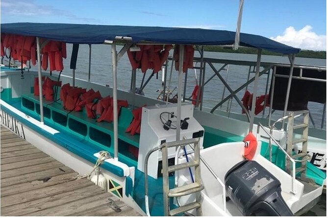 Luminous lagoon Dark night Tour from Ocho Rios and Runaway Bay Hotels - The dock wait, the bar, and why some nights feel longer