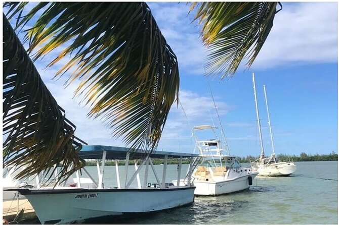 Luminous lagoon Dark night Tour from Ocho Rios and Runaway Bay Hotels - Water safety reality check: shallow, slippery, and worth taking seriously