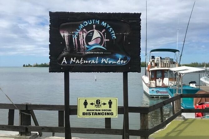 Luminous lagoon Dark night Tour from Ocho Rios and Runaway Bay Hotels - How the dark-night tour timing works from Ocho Rios and Runaway Bay