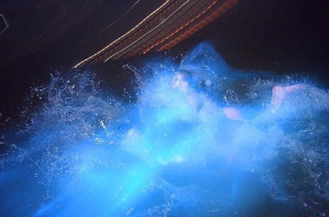 Luminous Lagoon Night Tour from Ocho Rios - Who this tour is best for