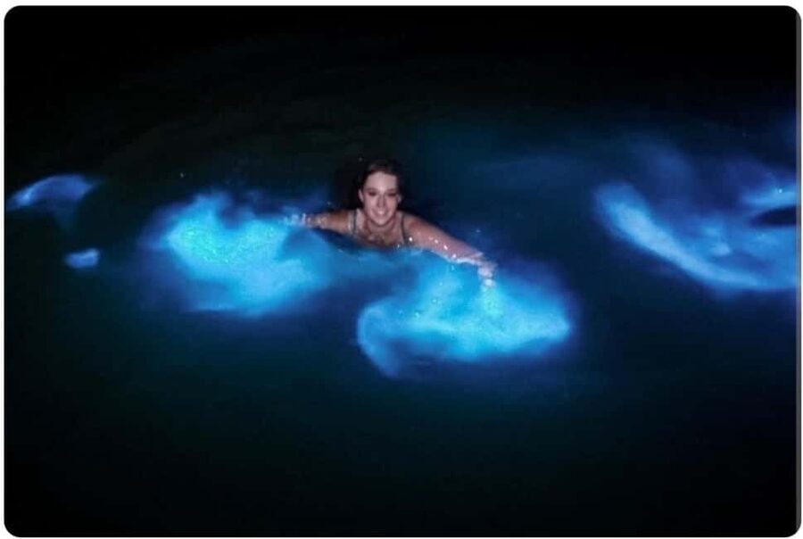 Luminous lagoon : Night Tour from Ocho Rios and Runaway Bay - Key things I’d bet on with this Luminous Lagoon night tour