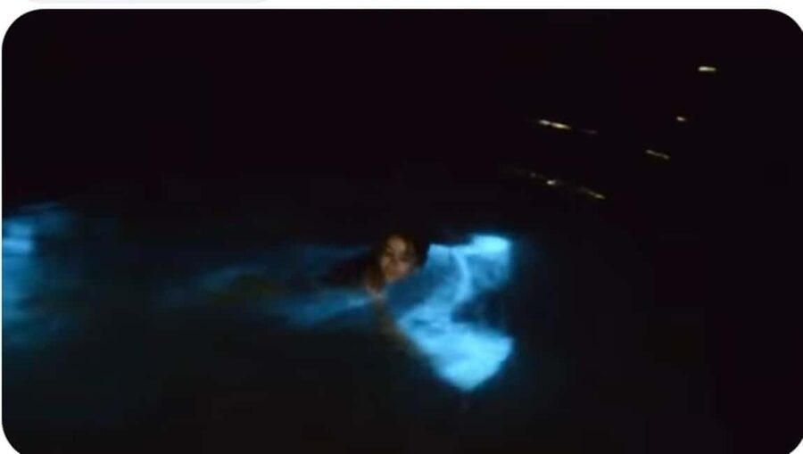 Luminous lagoon : Night Tour from Ocho Rios and Runaway Bay - Your lagoon experience: guided time, boat ride, and the swim rhythm