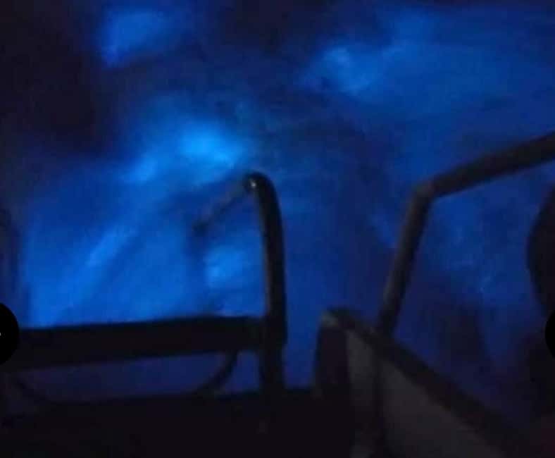 Luminous lagoon : Night Tour from Ocho Rios and Runaway Bay - Who this tour suits best (and who should skip it)