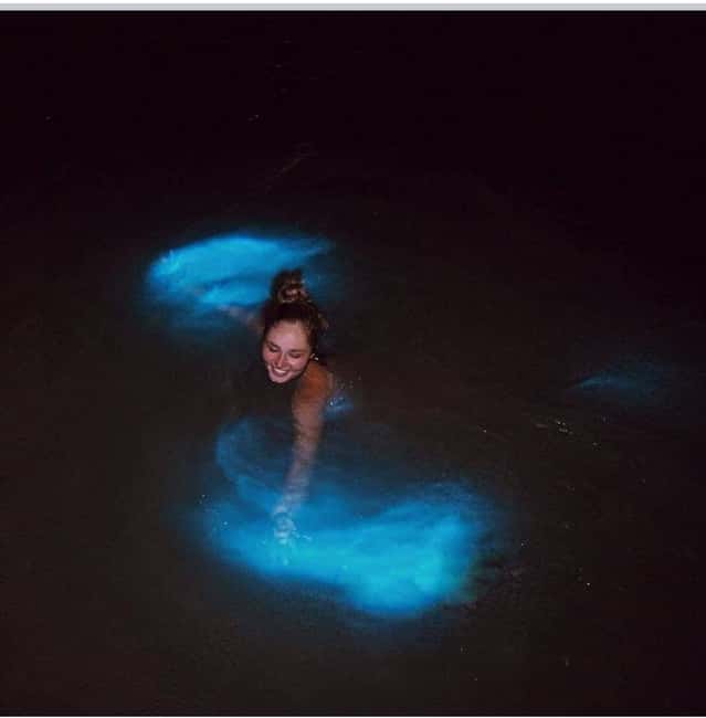 Luminous lagoon : Night Tour from Ocho Rios and Runaway Bay - Price, logistics, and the one thing that can make or break your night