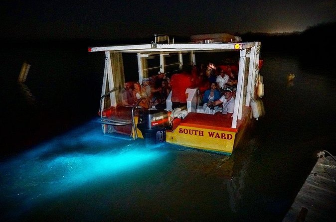 Luminous Lagoon Small Group Tour from Ocho Rios - On the water: seeing fish outlines and the glow response