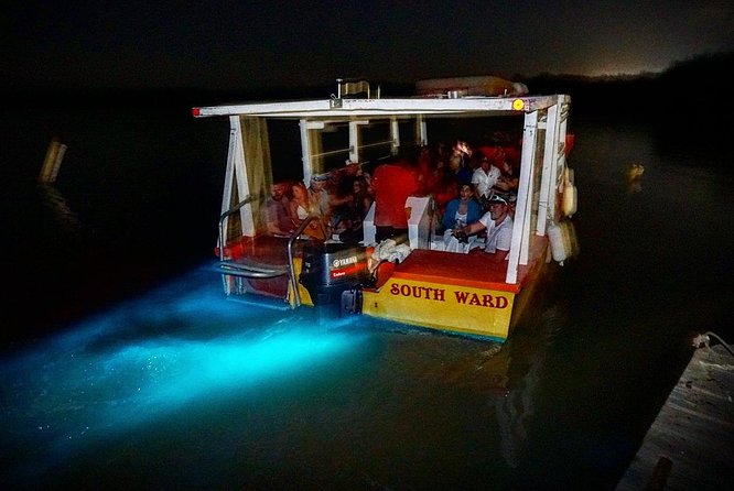 Luminous Lagoon Small Group Tour from Ocho Rios - Price and what you truly get at $140 per person