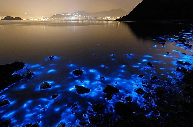 Luminous Lagoon Small Group Tour from Ocho Rios - Who this works best for (and who should reconsider)