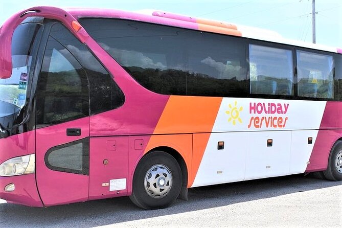 Montego Bay Airport (MBJ) Transfer One-Way or Round-Trip to Hotel - Leaving MBJ: What Happens After You Land