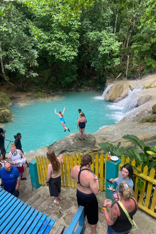 Ocho Rios : Blue Hole and Sightseeing Tour - Who should book, and who should skip it