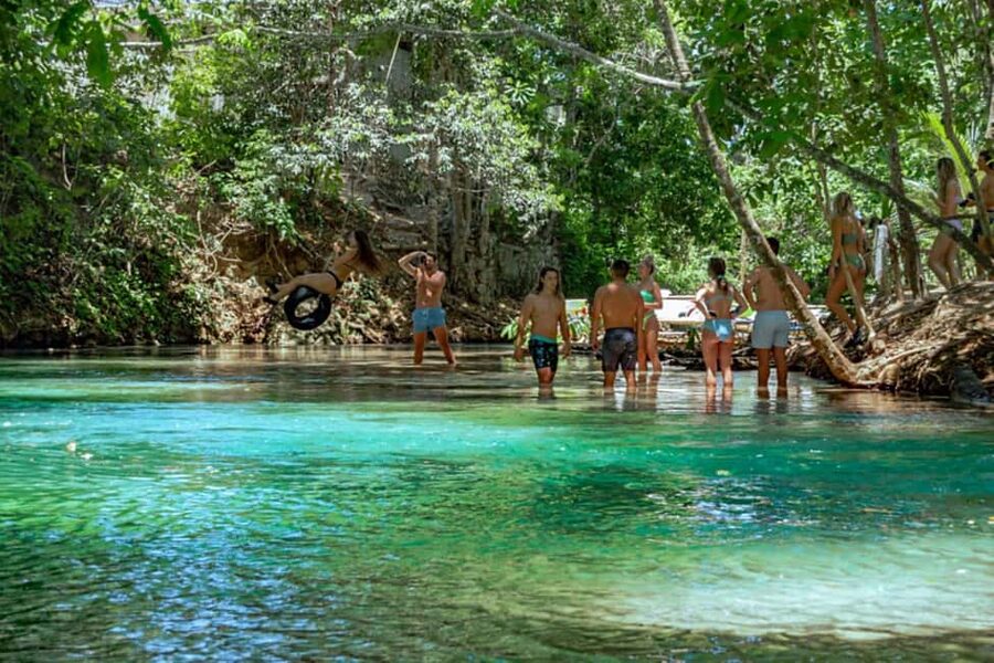 Ocho Rios: Blue Hole, Dunn’s River & Reggae Hill Guided Tour - Who This Tour Is Best For (and Who Might Prefer Something Else)