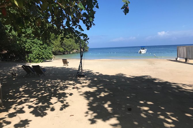 Ocho Rios City Bus Tour (Beach, Sightseeing & Shopping) - Price and Value: What $40 Gets You (and What It Doesn’t)