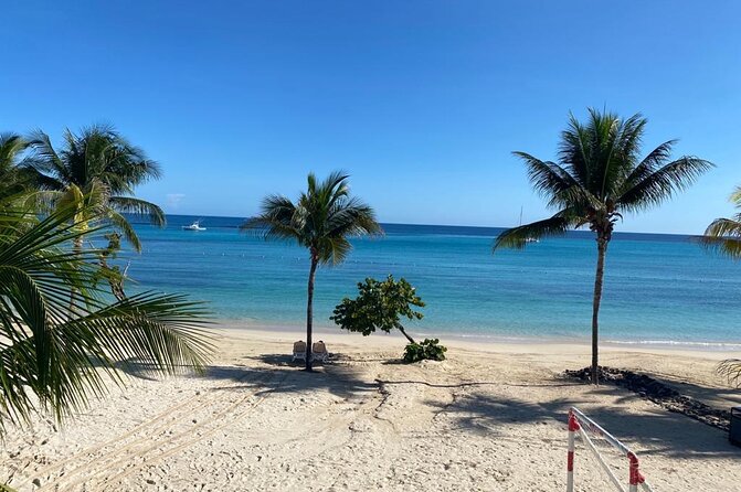 Ocho Rios City Bus Tour (Beach, Sightseeing & Shopping) - Who Should Book This Tour (and Who Might Want Something Else)