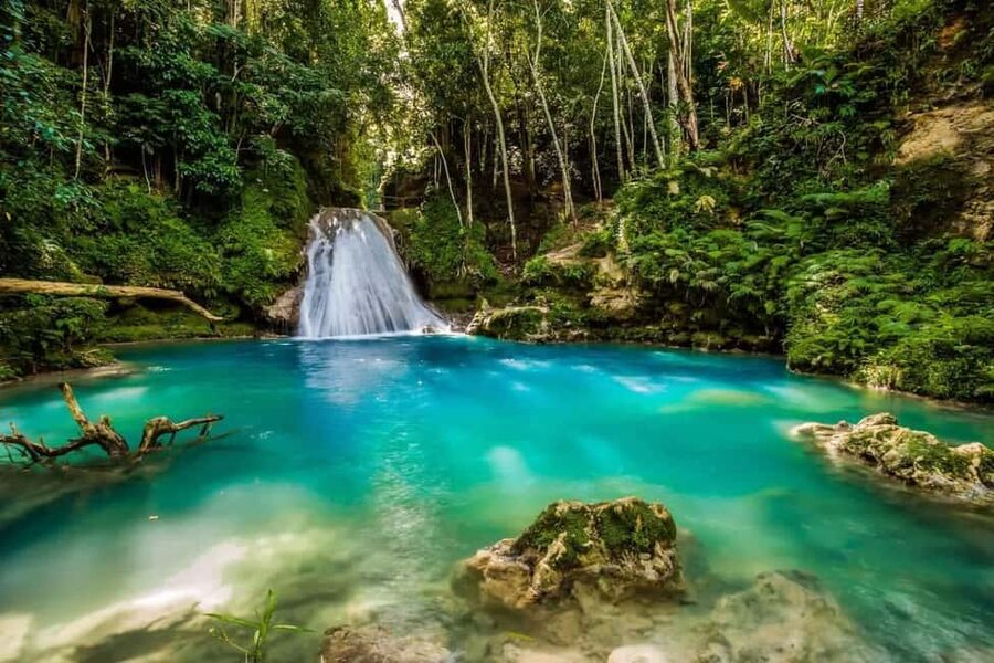 Ocho Rios: Dunn's River Falls and Blue Hole Combo Tour - The base swim: cooling off where the falls meet the sea