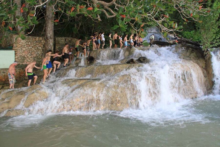 Ocho Rios: Dunn’s River Falls & Reggae Hill Tour - What’s Included, What It Costs, and What You’ll Still Need