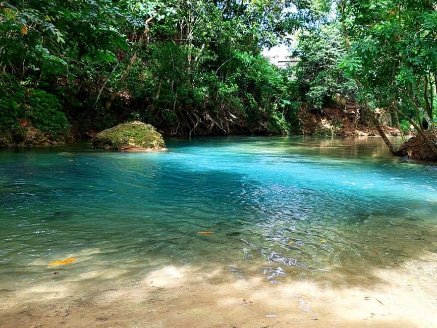 Ocho Rios: Dunn’s River Falls & Reggae Hill Tour - FAQ