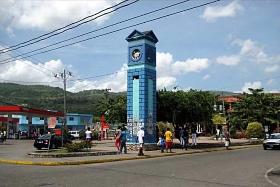 Ocho Rios: Guided Sightseeing Tour - Key highlights you’ll care about