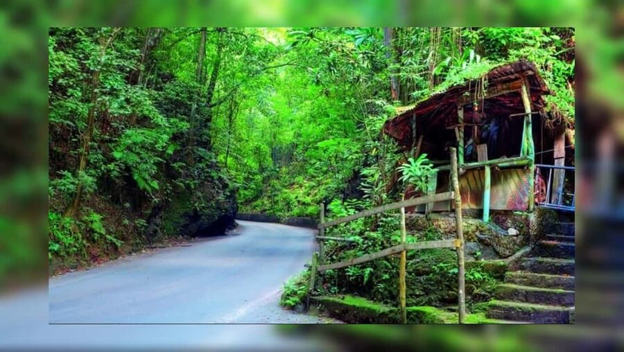 Ocho Rios: Guided Sightseeing Tour - Panoramic viewpoints over the Caribbean Sea and mountains