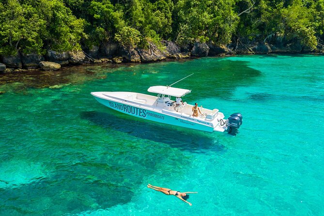 Ocho Rios Powerboat & Dunn’s River Falls Adventure - Why This Ocho Rios Combo Works: Boat Time plus Dunn’s River