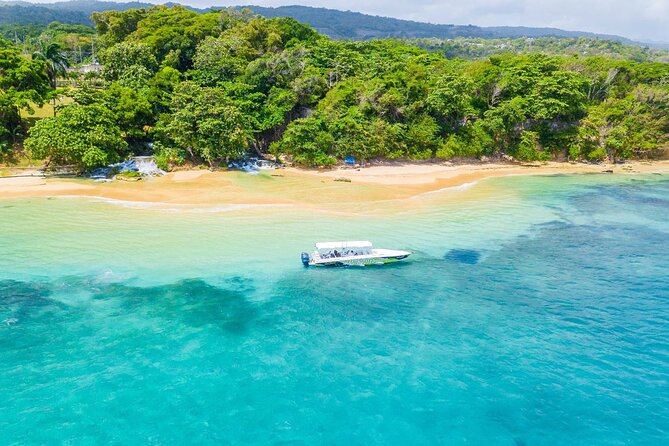 Ocho Rios Powerboat & Dunn’s River Falls Adventure - Swimming and Snorkeling at Laughing Waters: What to Expect