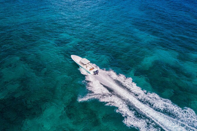 Ocho Rios Powerboat & Dunn’s River Falls Adventure - Price and Logistics: Is $240 Good Value?