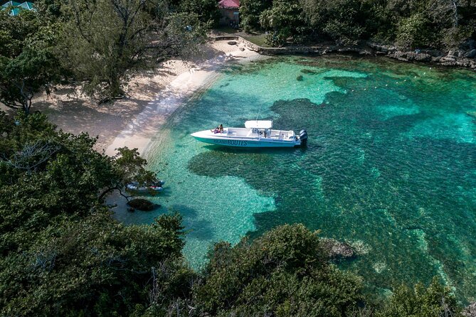 Ocho Rios Powerboat & Dunn’s River Falls Adventure - Who This Tour Suits Best (and Who Should Pass)