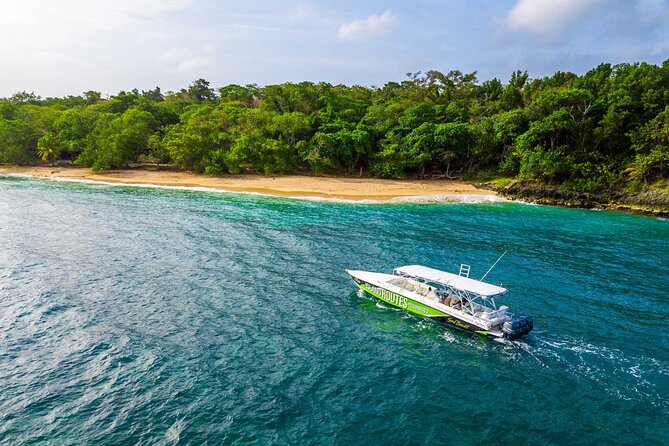 Ocho Rios Powerboat & Dunn’s River Falls Adventure - Small-Group Powerboat to Laughing Waters Beach