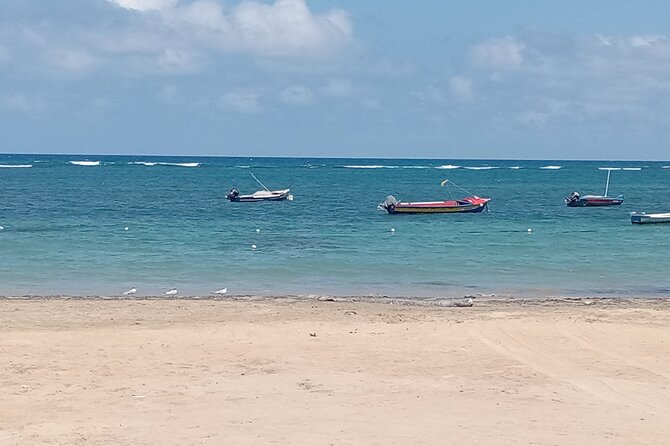 Ocho Rios Scenic Views, Culture and Adventure - Who this tour is best for (and who should look elsewhere)