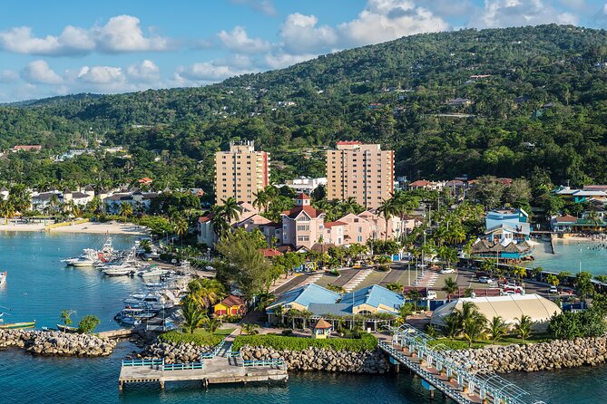 Ocho Rios Scenic Views, Culture and Adventure - Fern Gully: the rainforest road people remember