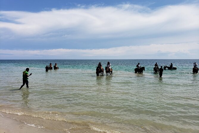 Private ATV, Horse Back Ride & Blue Hole Experience in Ocho Rios - Pickup From Island Village: Convenience That Matters on a Tight Day