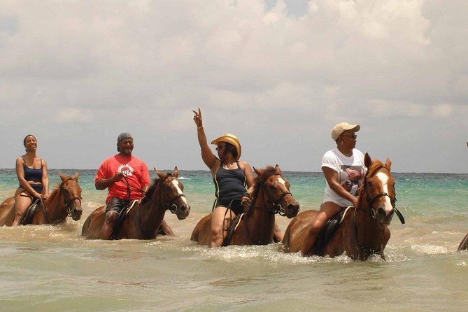 Private Beach Horseback Riding from Ocho Rios - Why the horse swim feels like the real highlight