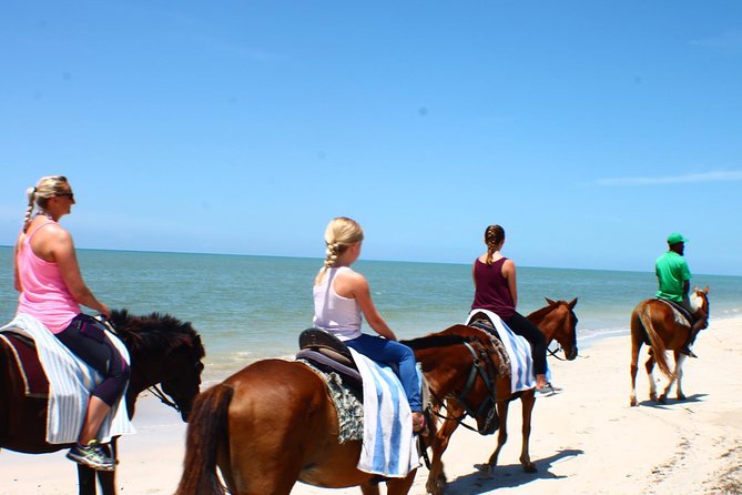 Private Beach Horseback Riding from Ocho Rios - Meeting the horses: quick orientation without the fuss