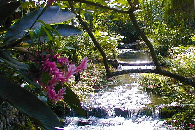 Private Combo Tour From Ocho Rios To Blue Hole & Konoko Falls - Konoko Falls: Rain Forest Steps, Garden Photos, and a Real View