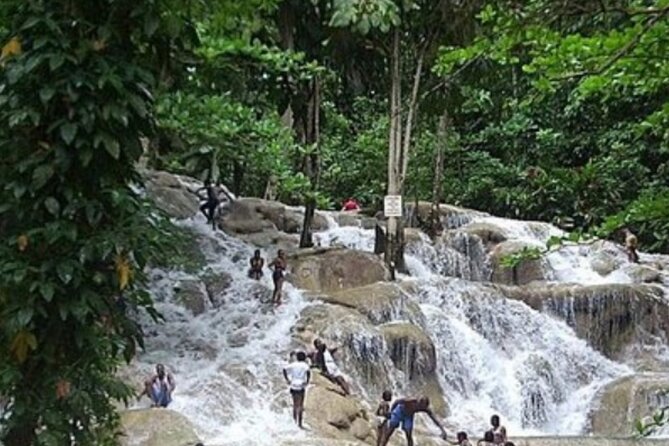 Private Dunn's River Falls and Tubing Tour From Ocho Rios - Quick Read on Guide Quality and Overall Experience