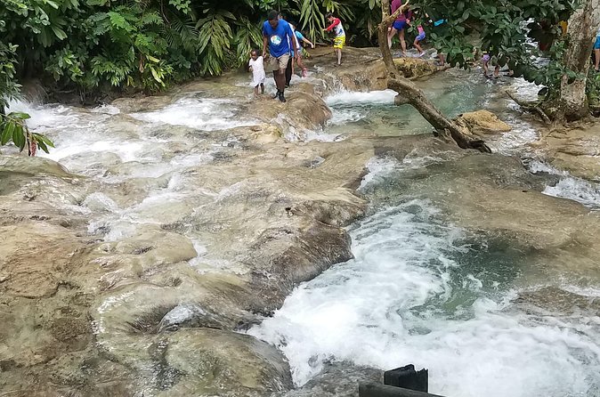 Private Dunn's River Falls from Ocho Rios - The small-group setup (15 or fewer) and why it changes the day