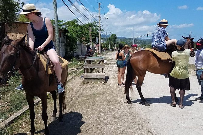 Private Horseback Riding from Ocho Rios with Guide - Logistics That Make or Break the Day