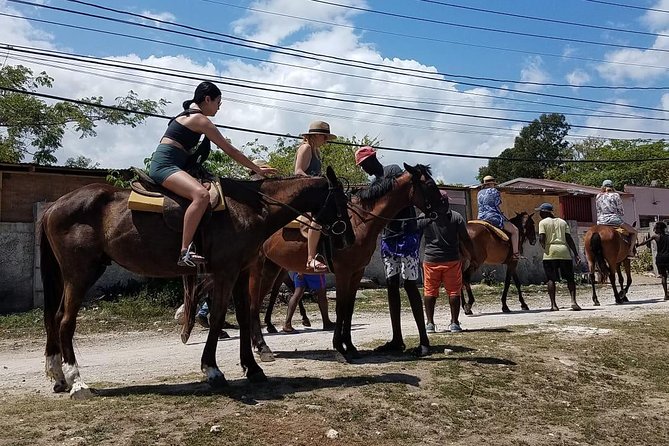 Private Horseback Riding from Ocho Rios with Guide - Who This Tour Fits Best