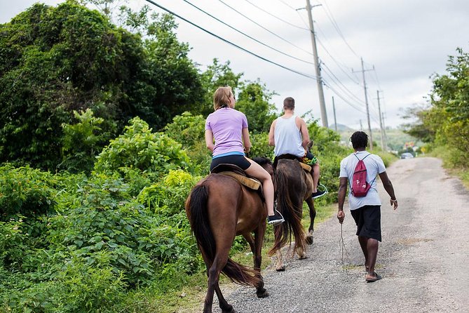 Private Horseback Riding from Ocho Rios with Guide - Getting a Horse and a Guide Who Match You