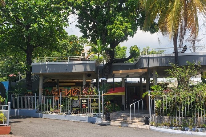 Private Kingston and Bob Marley Museum Tour from Ocho Rios - Rainforest Road and Farm Fields on the Way South