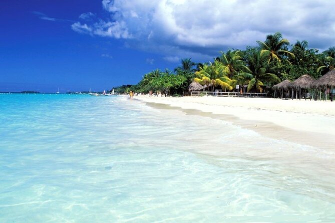 Private Negril Day Trip to Seven Miles Beach and Rick's Cafe from Runaway Bay - Who should book this Negril private day trip