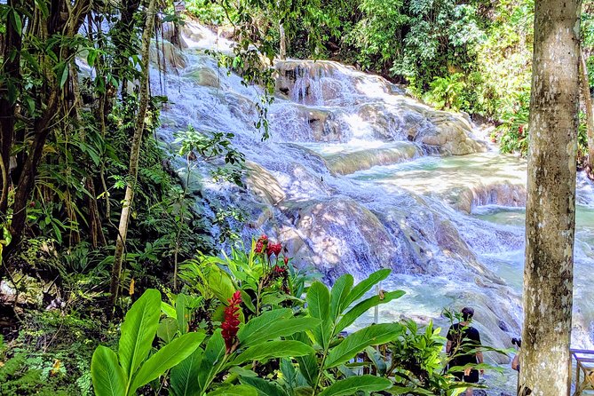 Private Ocho Rios highlight tour - Key Things to Know Before You Go