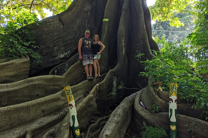 Private Ocho Rios highlight tour - What’s Included (and What You Should Plan for)